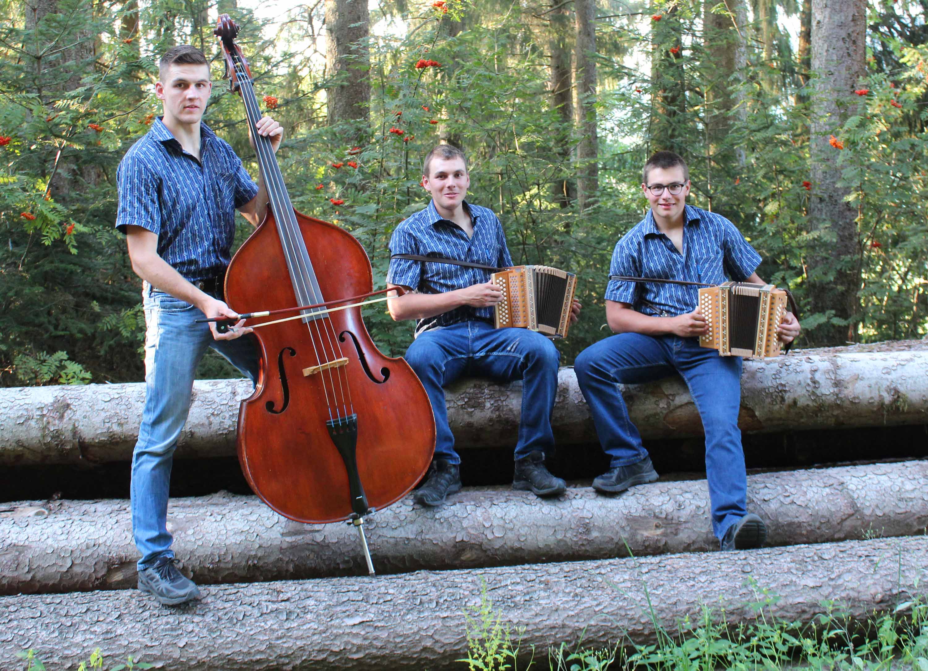 Bild Örgelifründe Chrüzholz